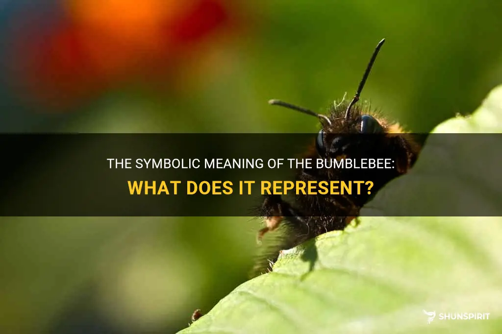 bumblebee symbol meaning