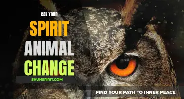 Exploring the Possibility of Changing Your Spirit Animal