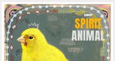 Discovering the Mystical Power of the Canary Spirit Animal
