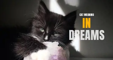 Purring Insights: Unraveling the Cat's Symbolism in Dreams