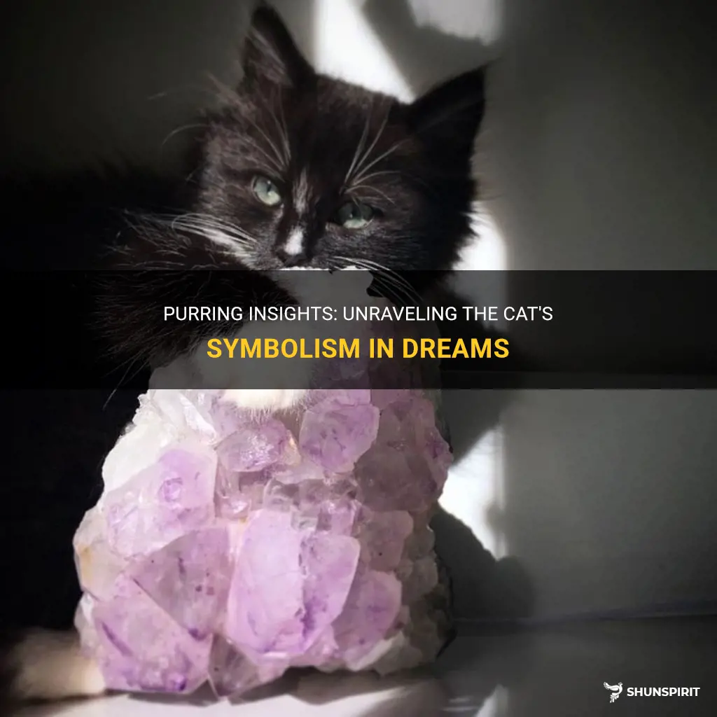 cat meaning in dreams