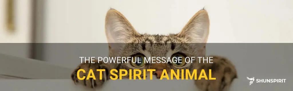 cat spirit animal message