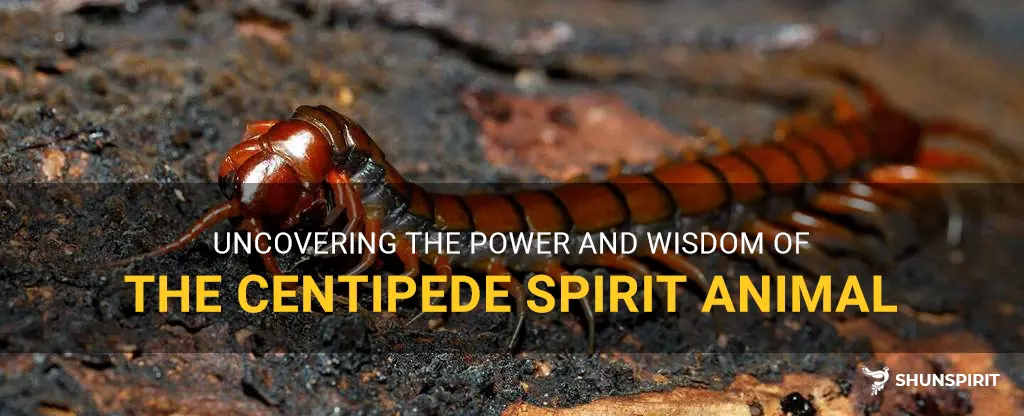 centipede spirit animal
