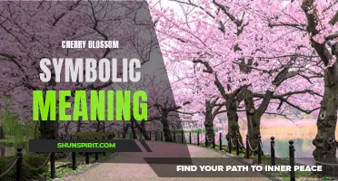 Unveiling the Symbolic Meaning of Cherry Blossoms: A Journey Through Beauty and Transience