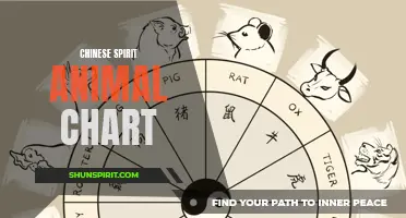Chinese Spirit Animal Chart: Discover Your Inner Animal Guide