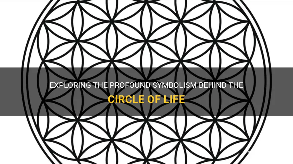 circle of life symbol meaning