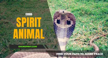 Cobra: Unleashing Inner Power and Transformation