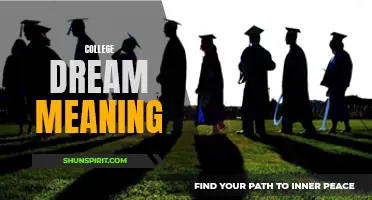 The meaning of college dreams: deciphering hidden messages of ambition