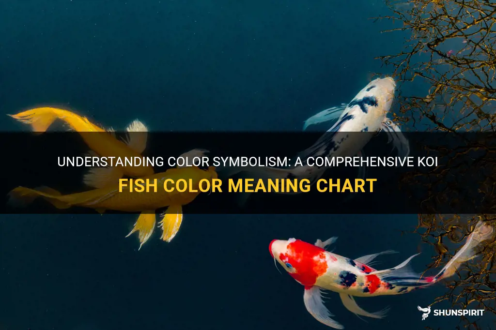 color symbolism koi fish color meaning chart