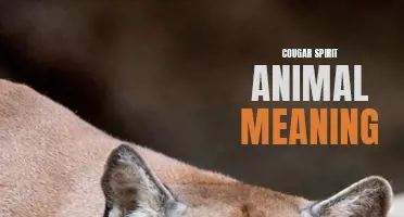 The Powerful Symbolism and Significance of the Cougar Spirit Animal