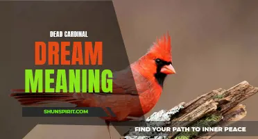 The Hidden Symbolism of Dreaming about a Dead Cardinal