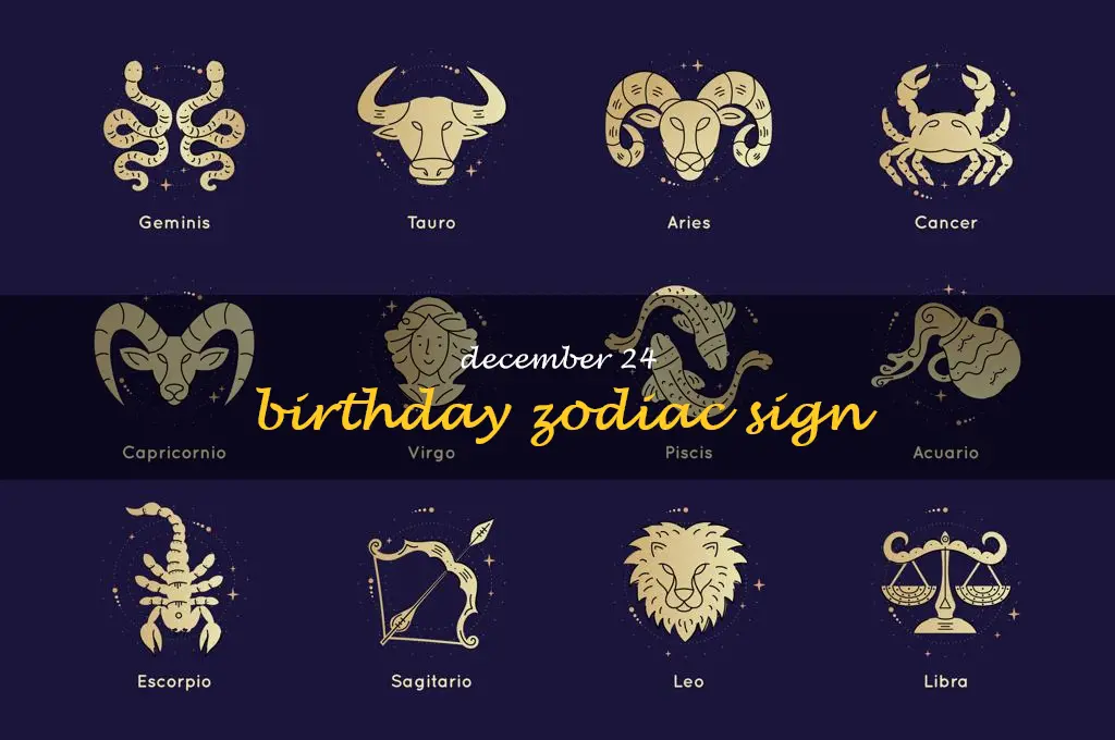 Discover The Meaning Behind Your December 24Th Zodiac Sign Birthday ...
