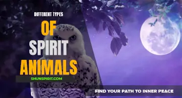 Exploring the diverse world of spirit animals: An enlightening journey