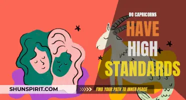 Do Capricorns Set High Standards in Relationships and Life?