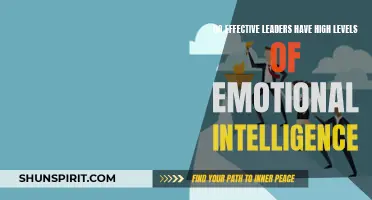 Why Emotional Intelligence is Essential for Effective Leadership