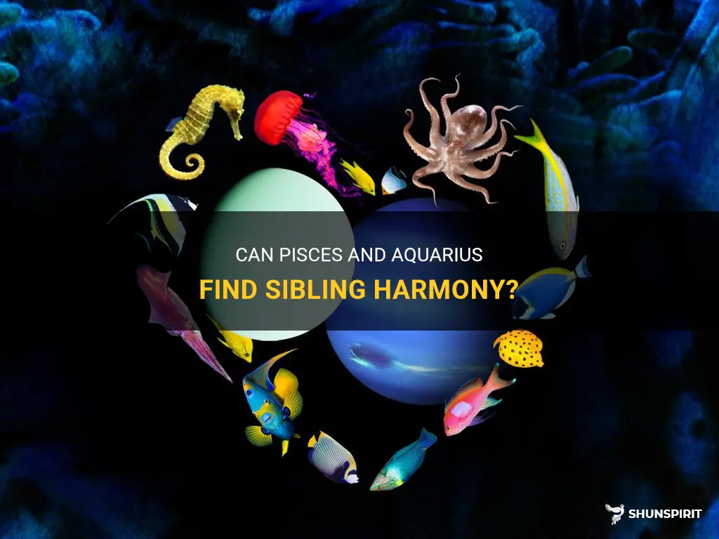 Can Pisces And Aquarius Find Sibling Harmony? | ShunSpirit