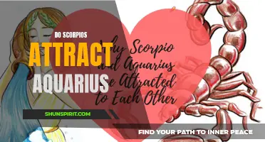 The Compatibility Between Scorpios and Aquarius: Do They Attract Each Other?