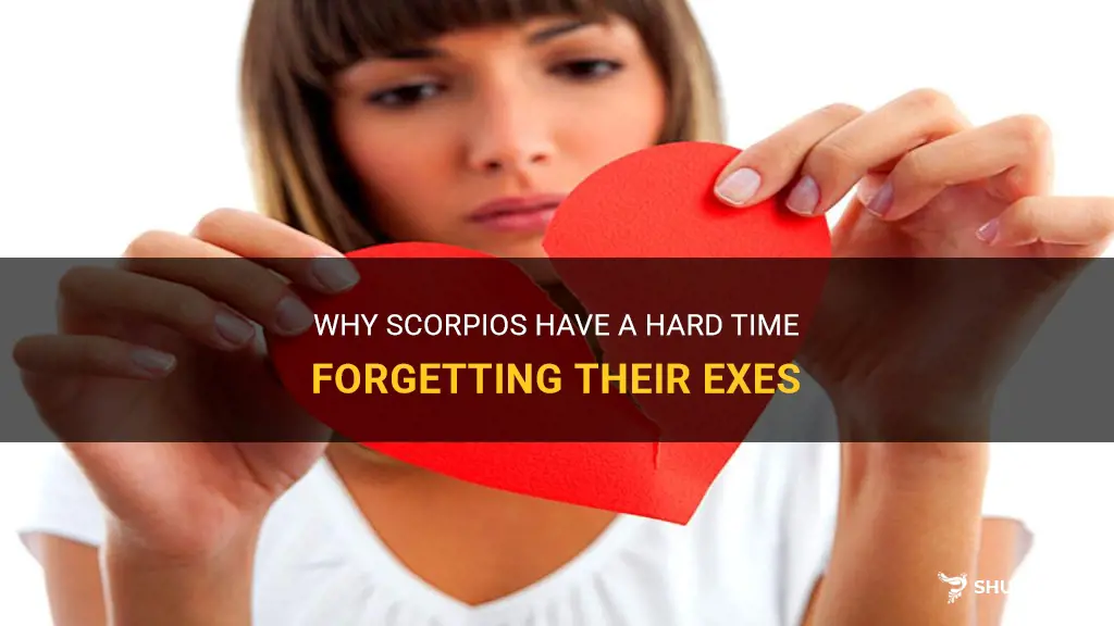do scorpios forget their exes