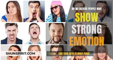 The Power of Emotional Displays: Why We Are More Likely to Believe Those Who Show Strong Emotion