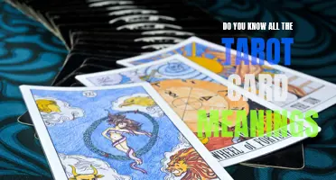 Unlocking the Mysteries: Do You Know All the Tarot Card Meanings?
