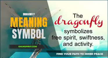 Unlocking the Spiritual Symbolism of Dragonflies