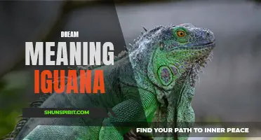 Understanding the symbolism and significance of dream iguanas
