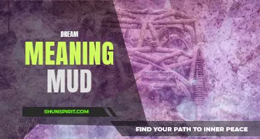 The symbolic interpretation of mud in dreams: What does it mean?