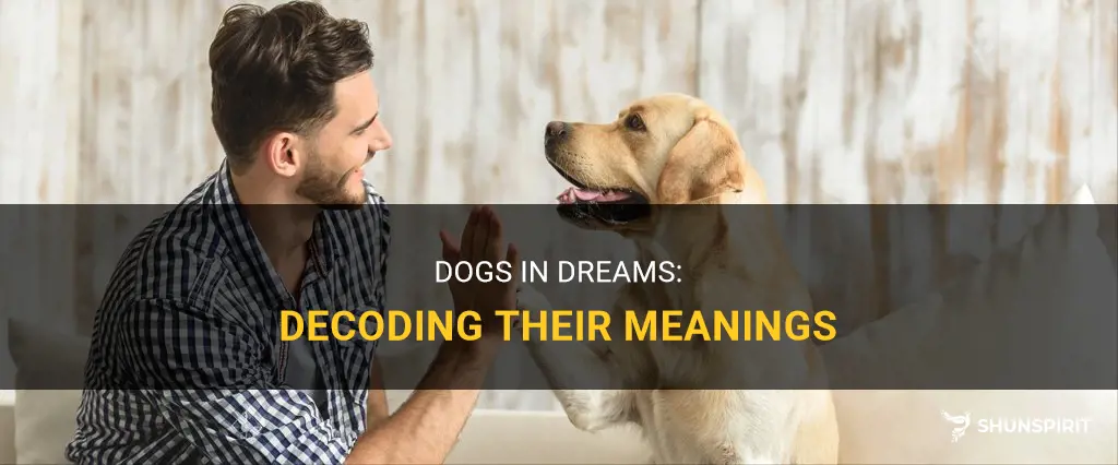 dream meaning of a dog