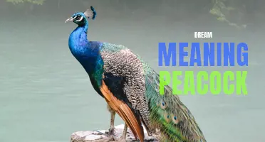 Exploring the Symbolism of Peacocks in Dreams