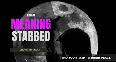 The Symbolism Behind Dreaming of Being Stabbed: What Does It Mean?