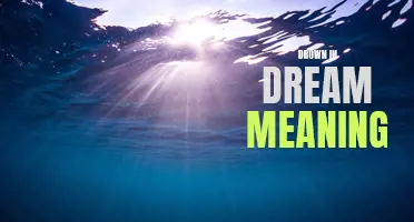 Drown in Dream: Exploring the Hidden Meanings