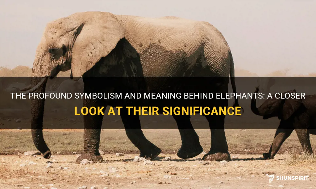elephant symbolism meaning