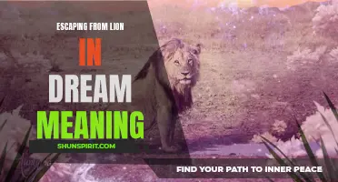 The symbolic meaning of escaping from a lion in a dream