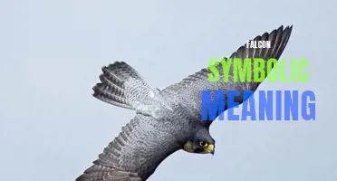The Enigmatic Symbolism of the Falcon: Insights into its Meaning and Significance