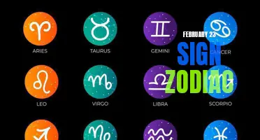 Unlocking the Revealing Traits of Those Born Under the February 23 Zodiac Sign