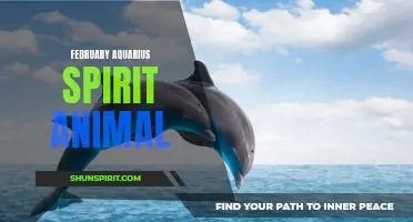 The Aquarius spirit animal: Embracing individuality and intellectual pursuits