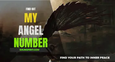 Discover Your Angel Number: Unlock Your Divine Path and Unlock Your Destiny