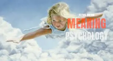 The Psychological Meaning of Flying Dreams