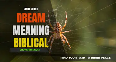 The Biblical Interpretation of the Giant Spider Dream