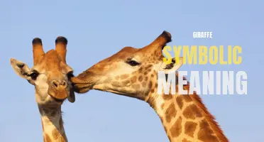 The Symbolic Meaning of Giraffes: Grace, Wisdom, and Harmony
