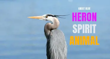 The Majestic Presence and Symbolism of the Great Blue Heron
