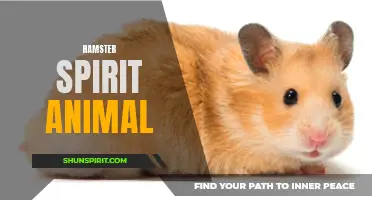 Discovering the Meaning of the Hamster Spirit Animal