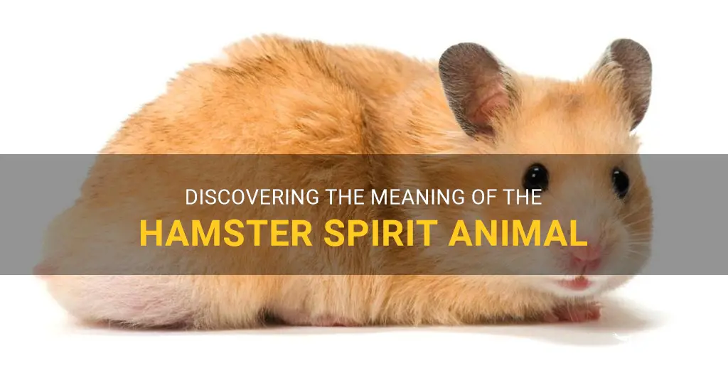hamster spirit animal