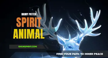 The Magical Connection: Discover Your Harry Potter Spirit Animal