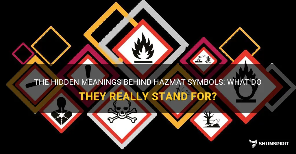 hazmat symbol meaning