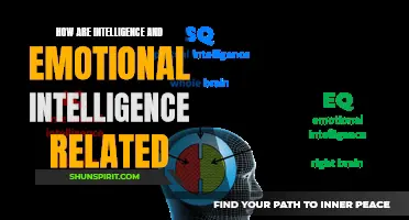 Understanding the Connection Between Intelligence and Emotional Intelligence