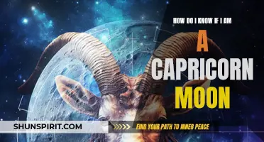 Signs That Indicate You Might Be a Capricorn Moon