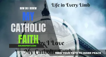 Renewing Your Catholic Faith: A Step-by-Step Guide for a Deeper Connection