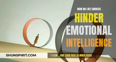 The Impact of Life Choices on Emotional Intelligence: Uncovering the Hidden Hindrances