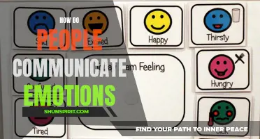 Unleashing the Power of Non-Verbal Communication in Expressing Emotions